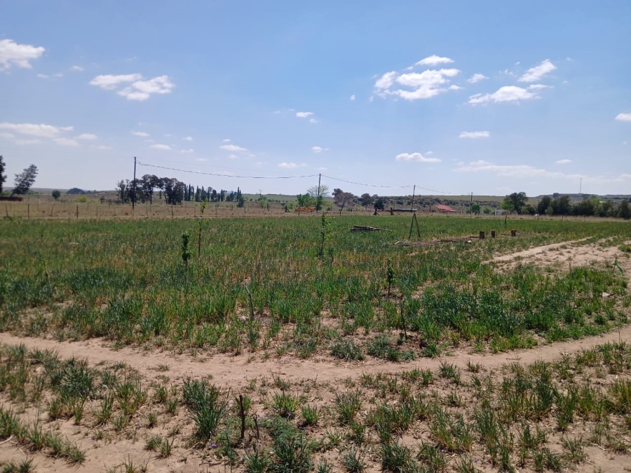 Commercial Property for Sale in Hobhouse Free State